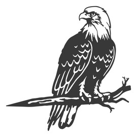 PKPKAUT Metal Birds Yard Decor for Outdoor, Metal Yard Art Outdoor and Garden Decorations, Unique Yard Decorations Outdoor Metal Bird, Metal Bald Eagle Outdoor Decor Gifts for Women