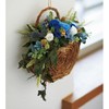 Earth Farms Preserved Vivian Insert (24 Ring) Indigo Blue do002370