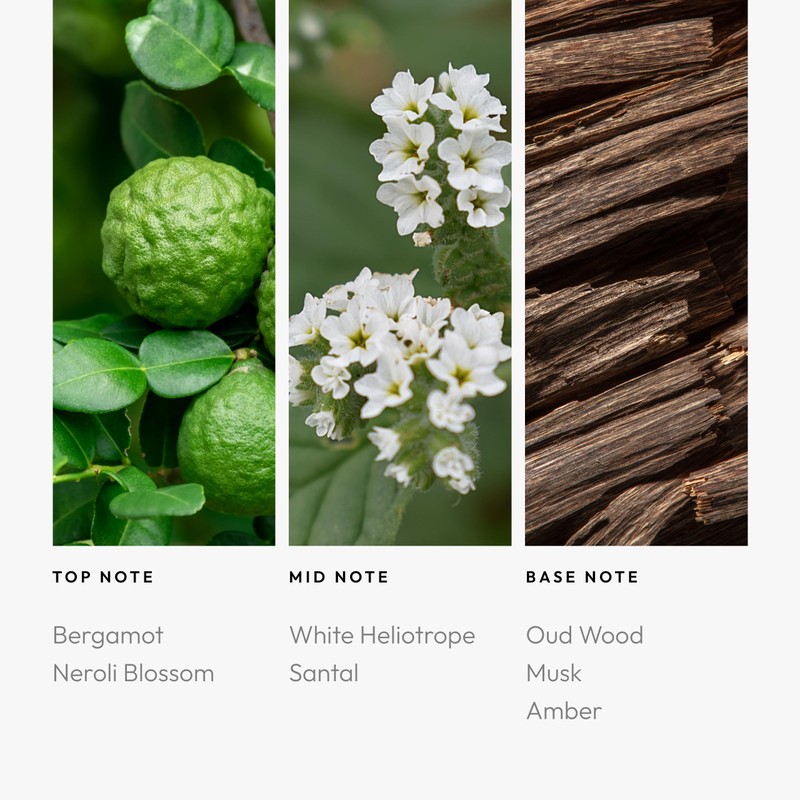 Aroma360 Stargazing 50mL