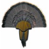 Hunters Specialties H.S. Strut - Kit de Montaje para Barba