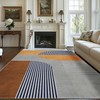 Geometric Area Rug 5x7 Boho Carpet Rug Neutral Machine Washable