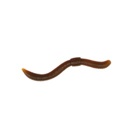 Trout Master Dendrobaena Realistic Imitation Worm Bait Made of TPE Material with Garlic Flavour, Ideal for Successful Trout Fishing. (Natural)
