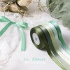 LaRibbons 3/8 Inch 100 Yard Satin Ribbon Pack, 10 Yard/Roll