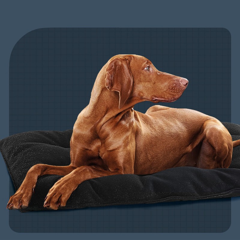 MABOZOO Dog Bed, Indestructible Chew Proof Pet Bed Mat, Durable