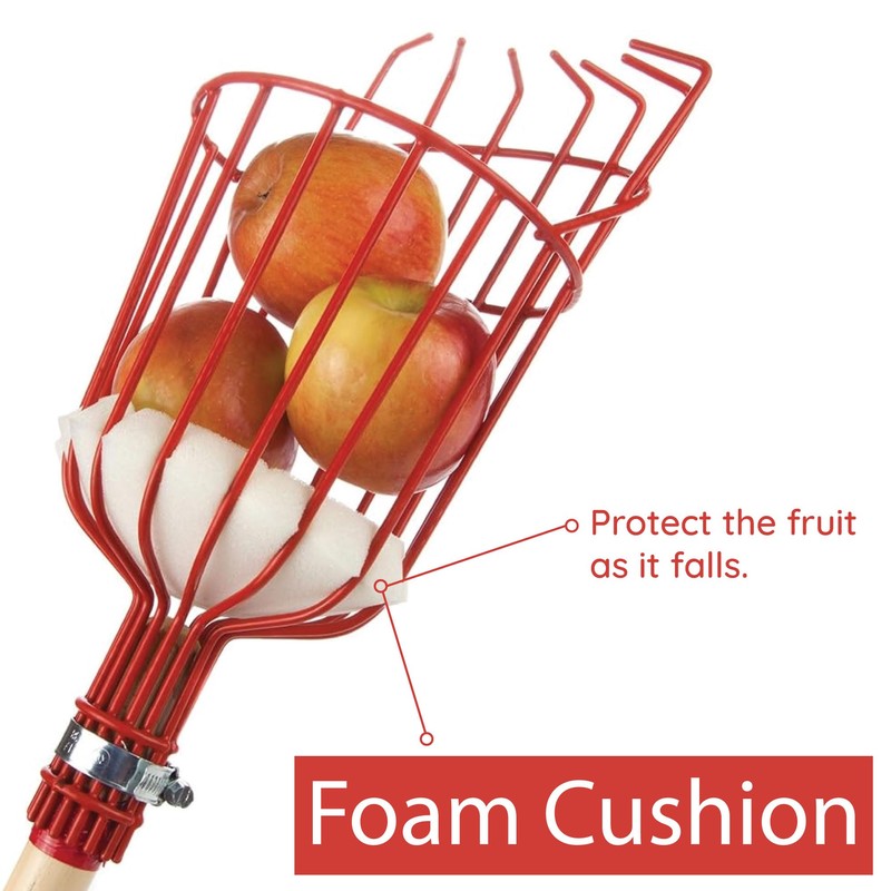 Home-X Fruit Picker Basket - Sturdy Tree Picker Tool with