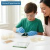 Bacteria Growing Kit with Pre-Poured Agar Plates | LB Agar