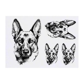 Azeeda 4 x 'Porträt eines Deutschen Schäferhundes' Temporäre Tattoos - Wasserfest, Hautfreundlich & Ungiftig · Transfers in Verschiedenen Größen (TO00082404)