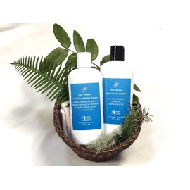 Carolyn's Facial Formulas hair repair shampoo and conditioner Set | Sulfate-Free for Men and Women | including Damaged, Colored, Dry, Curly or Frizzy Hair Made In USA