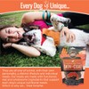Smart Cookie All Natural Dog Treats - Healthy Skin &