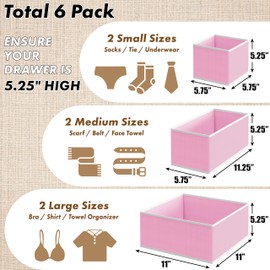 Simple Houseware Underwear Drawer Organizer for Lingerie/Undergarment/Bra/Panty/Sock/Onesie, Set of 6, Pink