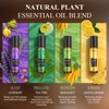 Essential Oils Roll On Set (Pack of 8) 8 Scent,