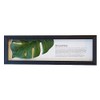 Monstera II Horizontal Black Leaf Frame Panel