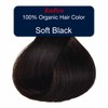 Radico Organic Hair Colour - Soft Black, 100g