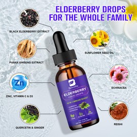 B BEWORTHS 2 Pack Elderberry Syrup, Black Elderberry Drops with Quercetin, Panax Ginseng, Vitamin C and Zinc, Sambucus Elderberry Syrup Liquid for Immune Support, Vegan, Non-GMO & Gluten Free
