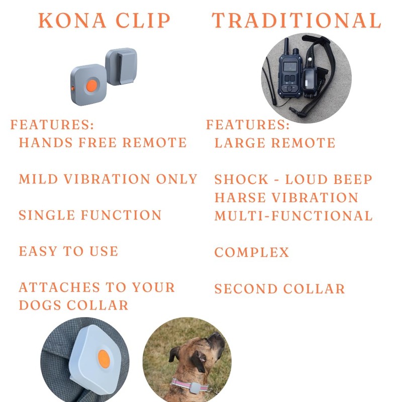 Dog Training Collar with Remote Controller - E Collar for