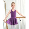 Zaclotre Ballet Leotards for Toddler Girls Hollow Back Dance Dress