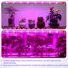 iPower 40W LED Plant Grow Light Strips Full Spectrum for
