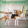 Vet's Best Comfort Fit Disposable Male Dog Diapers - Absorbent