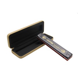 East top 22 Holes Professional Tremolo Harmonica for Adults (T22K-C)