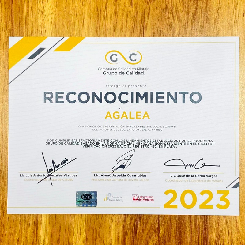 Agálea | Aretes largos de Plata ley .925 diseño Colgante