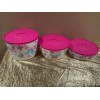 New Tupperware UNIQUE Butterfly & Flowers Theme Ilumina StacknStore Set