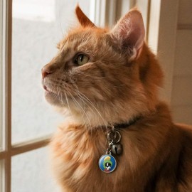 GRAPHICS & MORE Looney Tunes Marvin The Martian Chrome Plated Metal Pet Dog Cat ID Tag