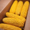 Himsel Farms Wildlife Treats Ear Corn Kernels Hand Packed Boxes