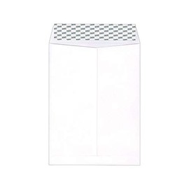 Staples 892099 Easyclose Catalog Envelopes 6-Ft X 9-Inch White Wove 100/Box (20139)