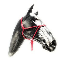 ARBO-INOX Knot Halter Simple without Lead Rope Special Offer (COB Full Blood, Red)