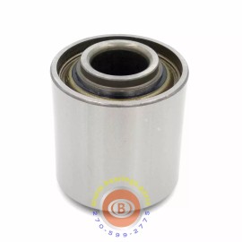 ZYZ 5203KYY2, 5203VVAN Double Row Planter Bearing