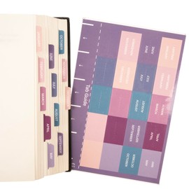 Lumintutu Laminated Planner Monthly Stickers,40 Adhesive Plan Tabs Accessories for Notebooks (2 Sets 12 Month Tabs and 16 Blank Tabs), Calendar Monthly Divider Set (Purple & Pink)