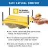Brinsea Ecoglow Safety 1200 Chick or Duckling Brooder, Adjustable Height