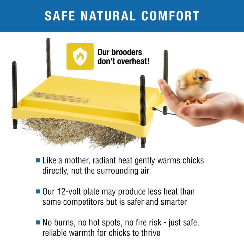 Brinsea Ecoglow Safety 1200 Chick or Duckling Brooder, Adjustable Height