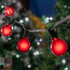 Novelty Lights 25 Pack G40 Red Outdoor Globe Bulbs, Light
