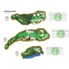 DICE NUTZ PRO GOLF Board Game ~ 2020 Ryder Cup