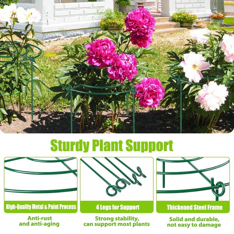 8 Pack Peony Cages and Supports, 11.5" Dx16 H Plant
