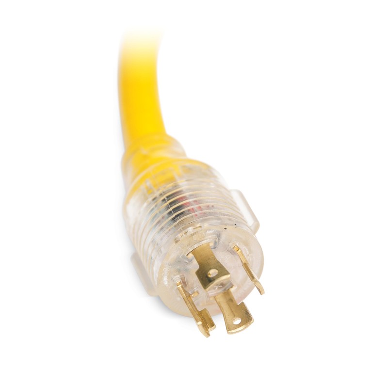 Champion Power Equipment 2 ft. 30A 250V Generator Adapter Cord