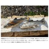Imakatsu Lazy Swimmer 9 F Eco #S-499 Strong Chart
