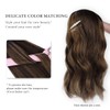 HOTBANANA Seamless Clip in Hair Extensions Dark Brown Mixed Golden