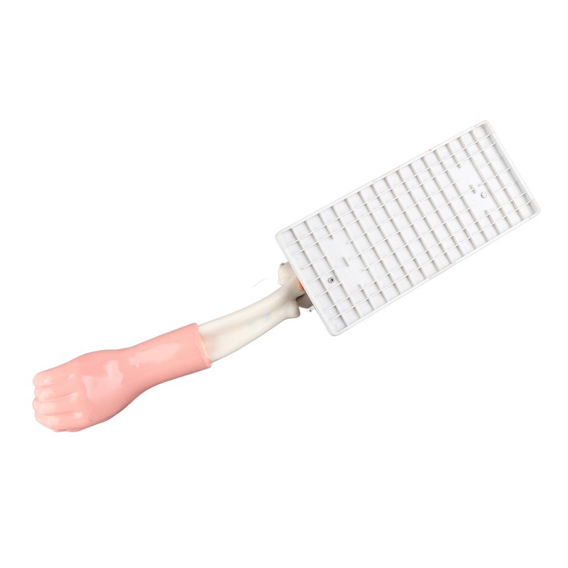 Arm Moving Model Anatomical Elbow Joint Motion Model Primary School
