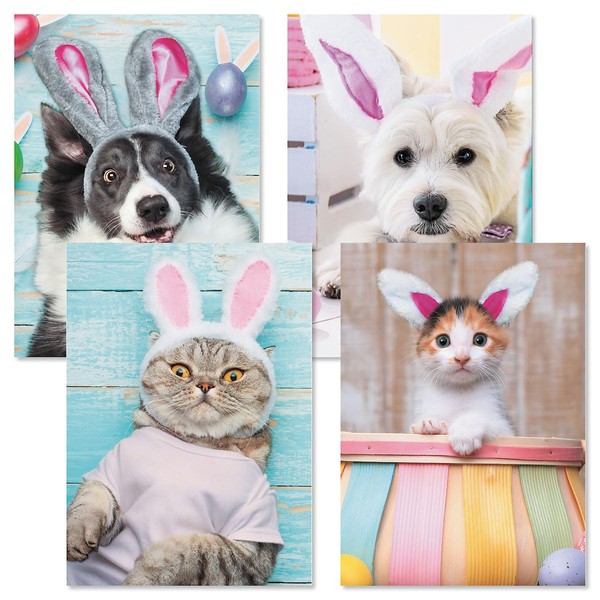 Current Picture This Dog & Cat Easter Value Greeting Card