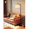 addlon Floor Lamp for Living Room with 3 Color Temperatures,
