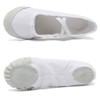 DoGeek Ballet Shoes for Girls Practise Ballet Slipper Dance Shoe