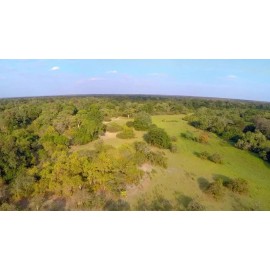 Burt's Bees Coconut and Pear Lip Balm, 1-Pack, 0.15 oz.