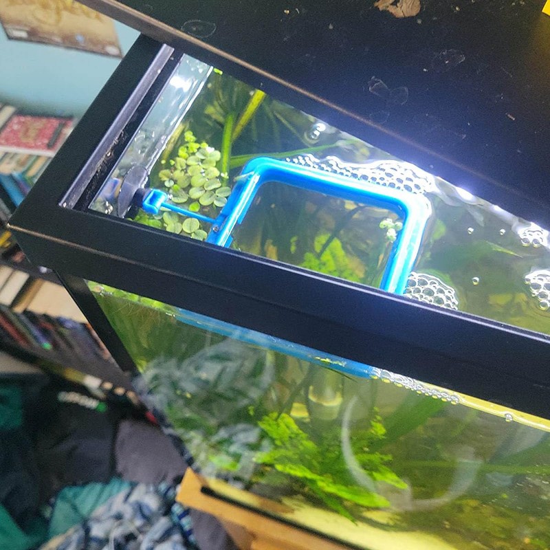 Fish Feeding Ring Floating Food Feeder Circle with Suction Cup