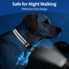 Kazazoo Reflective Dog Collar with Soft Padding Dog Collar for