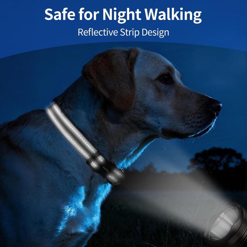 Kazazoo Reflective Dog Collar with Soft Padding Dog Collar for