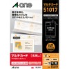 A-One 51017 Multi Card Business Card, Smart & Economy, 100