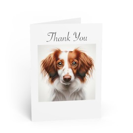 DistinctInk Greeting Card/Note Card -Nederlandse Kooikerhondje Photograph Birthday - PACK of 5