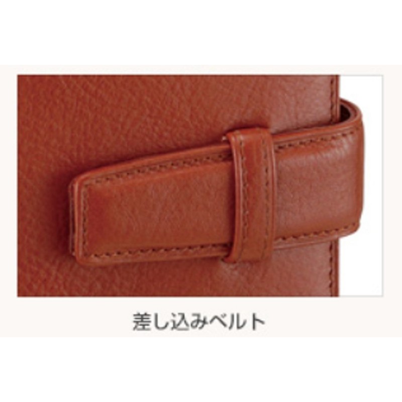 Reimei Fuji System Notebook Davinci Standard Bible size, green